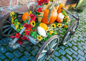 Herbstliche Events im Kreis Heinsberg: Märkte, Feste und kulturelle Highlights