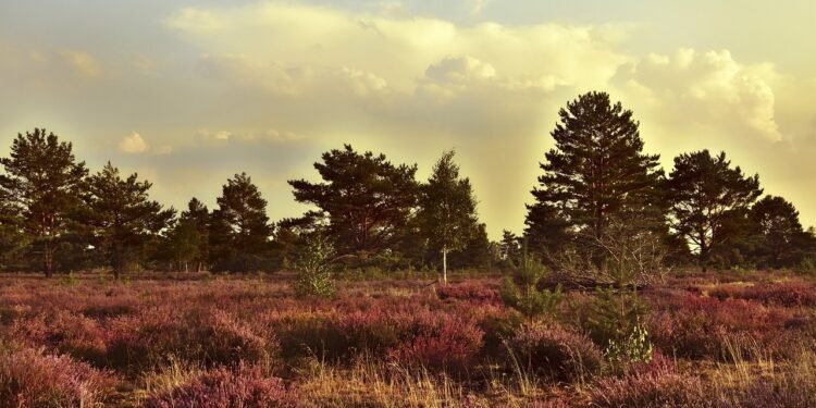 Sehenswürdigkeiten Heinsberg Kreis