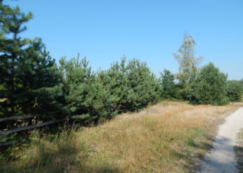 Parks Heinsberg Kreis