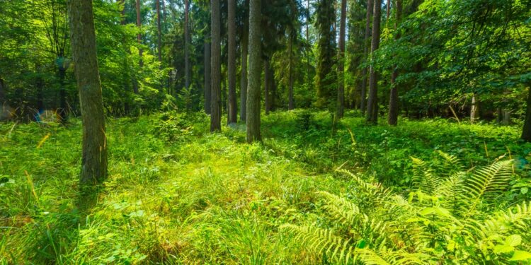 Wanderwege Heinsberg Kreis