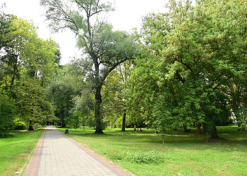 Baesweiler entdecken: Parks, Erholungsgebiete und Naherholung in der Region