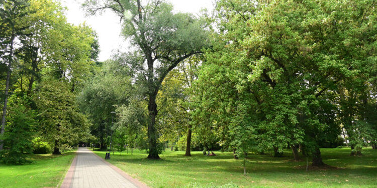 Baesweiler entdecken: Parks, Erholungsgebiete und Naherholung in der Region