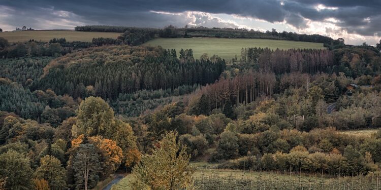 Wie hoch liegt Heinsberg Kirchhundem?
