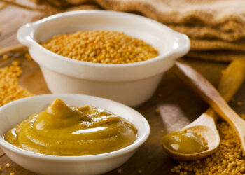 Alte Senfmühle Terhorst: Traditionelle Senfherstellung erleben