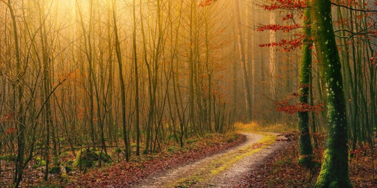 Historische Orte Heinsberg